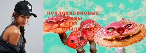 гидра Волоколамск