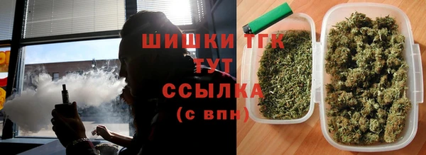 гидра Волоколамск