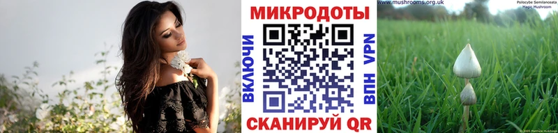 Псилоцибиновые грибы прущие грибы  Купить закладки  Пласт 